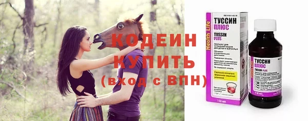 ГАЛЛЮЦИНОГЕННЫЕ ГРИБЫ Кодинск