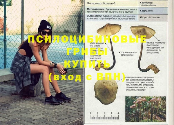 марки nbome Козельск