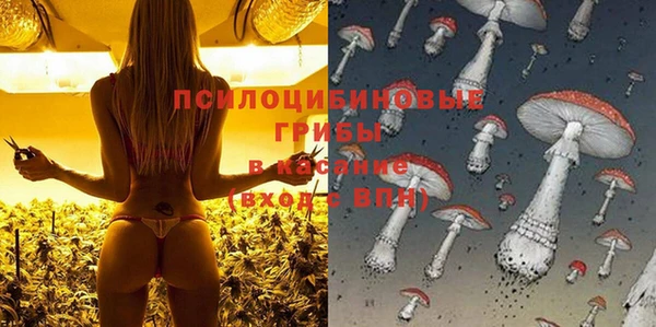 ГАЛЛЮЦИНОГЕННЫЕ ГРИБЫ Кодинск