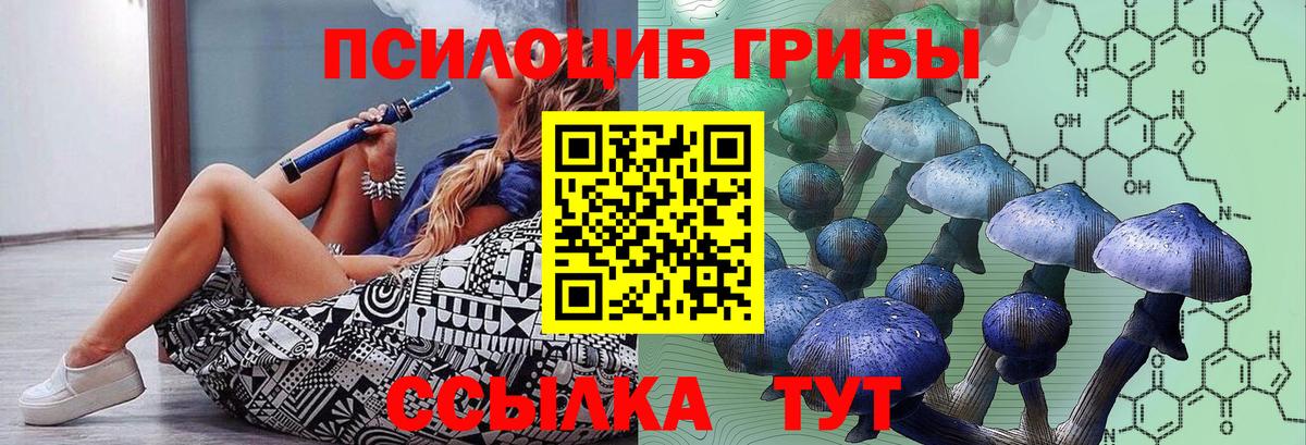 Галлюциногенные грибы Psilocybine cubensis  Вход с VPN  Екатеринбург 