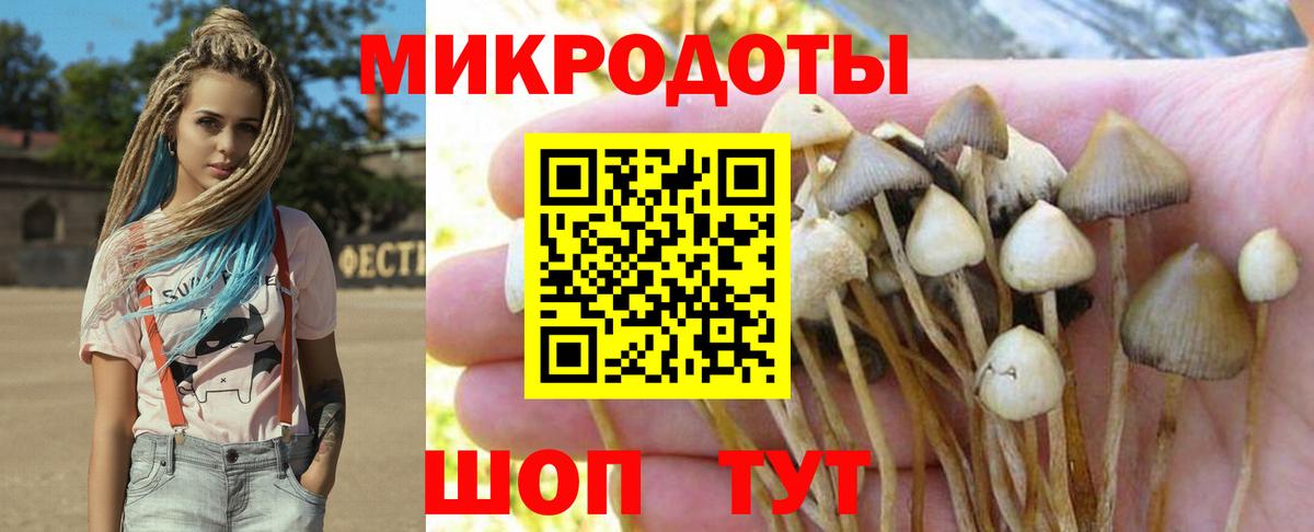 Псилоцибиновые грибы прущие грибы Екатеринбург
